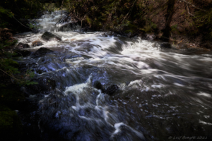 Indforsen i färg