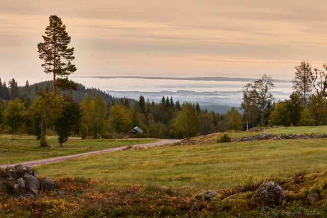 Morgonutsikt från Näsberg