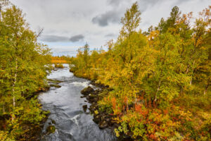 Fjätan