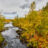 Fjätan