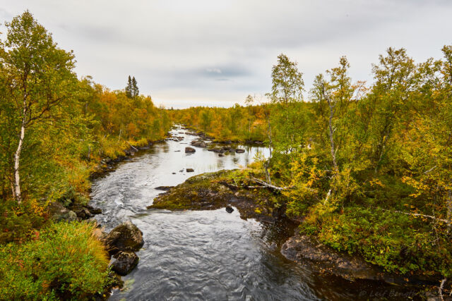 Fjätan