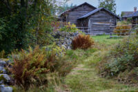 Höstfärger på vallen