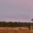 Morgonrodnad