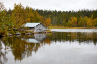 Höst vid Östersjön