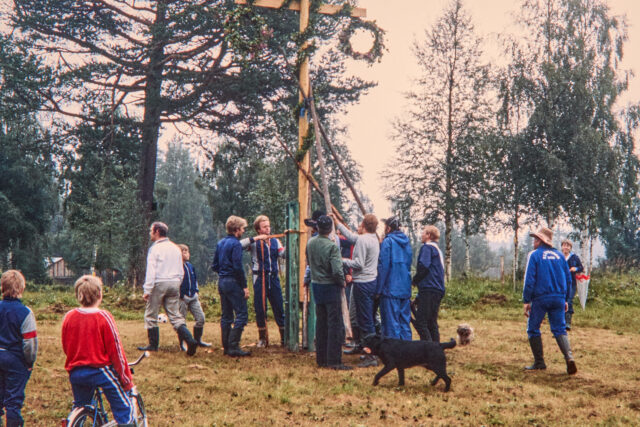Majstångsresning