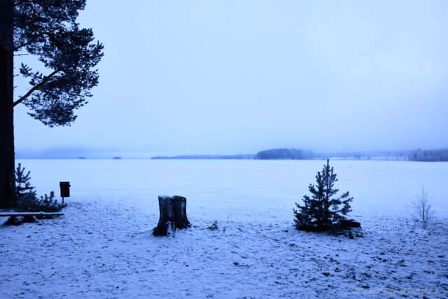 Dimma över Orsasjön