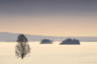 Guldskimmer över sjön