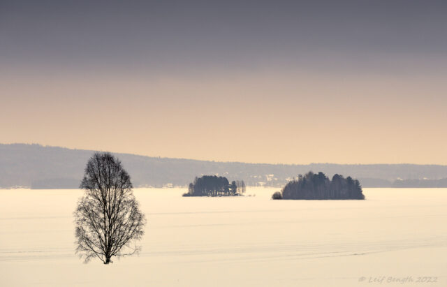 Guldskimmer över sjön