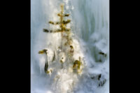 Julgransljus