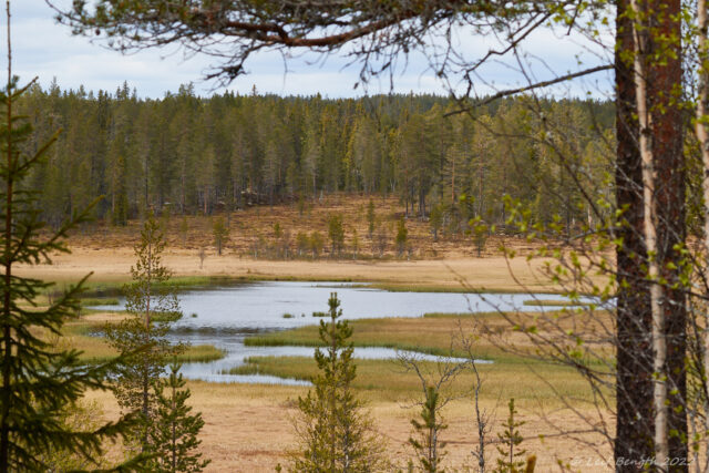 Lilla Gäddtjärnarna