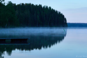 Morgon vid Silvhytteå