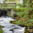Sommargrönska