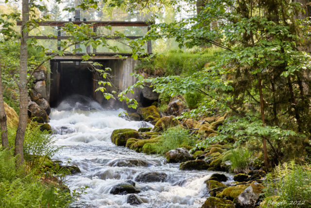 Sommargrönt vid Fulle å