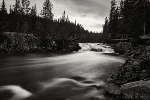 Oradsugnä