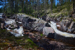 Forsarna i Lånan