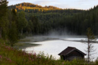 Morgonstund vid skogstjärn