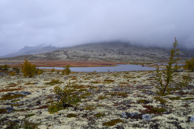 Dørålstjørnin, Folldal, Norge