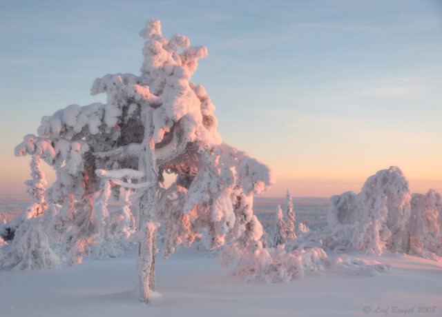 Munkhäden