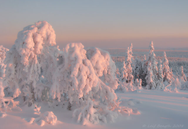 Munkhäden