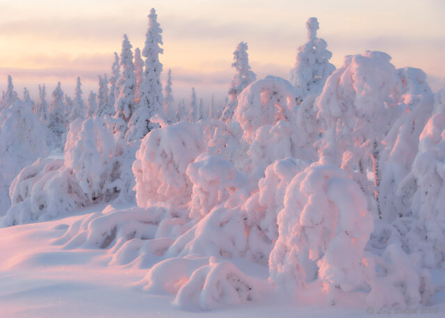 Munkhäden
