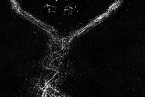 Där vassa klor ristar is...