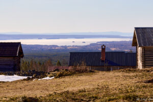 Tidig morgon på vallen...