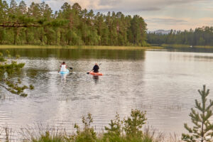 Sommarmys...
