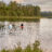 Sommarmys...