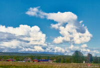 Leader of the Pack...