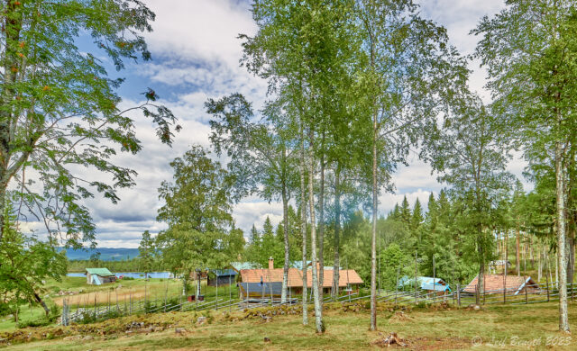 Ryfsäl