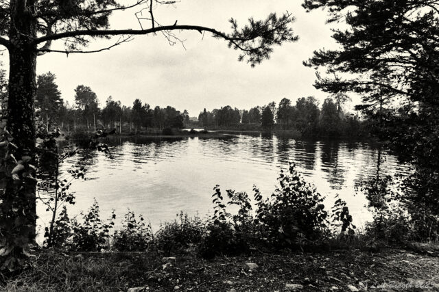 Våmån möter Orsasjön