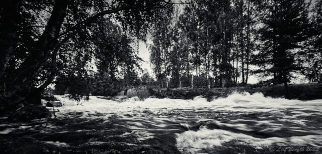 Forsar vidare