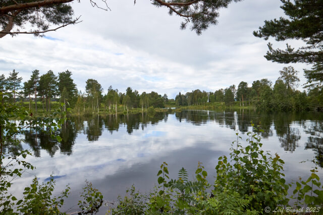 Våmåns utlopp i Orsasjön
