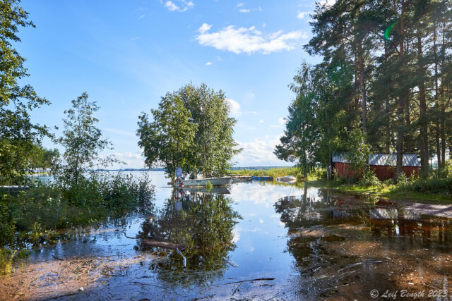 Båthamnen i Dryttvik