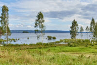 Bykalland