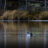 Lommen i Lill-Tvitulitjenn