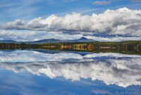 Spegling med symmetri