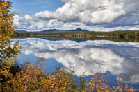 Städjan i Kringelfjorden