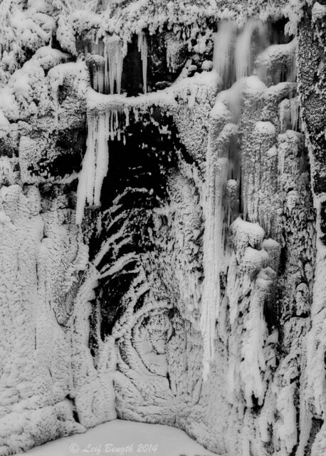 Trollskog