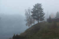 Morgon vid Trysilelva