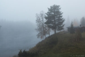 Morgon vid Trysilelva