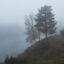 Morgon vid Trysilelva