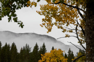 Trysilfjäll