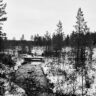 Geddtjennbäcken