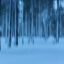 Långskogen