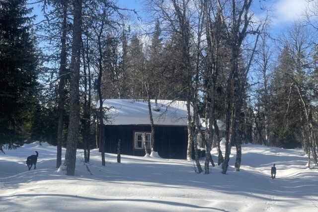 Paradiset vid Geddtjenn