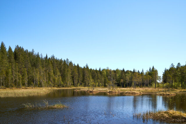 Holmtjärn/Åmtjenn - södra delen