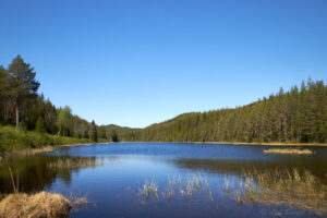 Holmtjärn/Åmtjenn