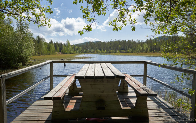 Mickelbäcksdammen/Sågdammen