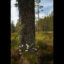 Vid foten